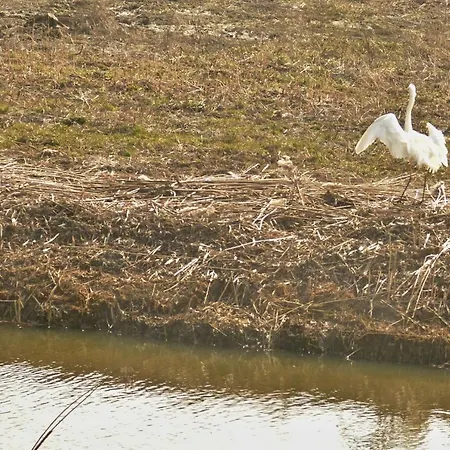 Pod Trzynastka 아파트
