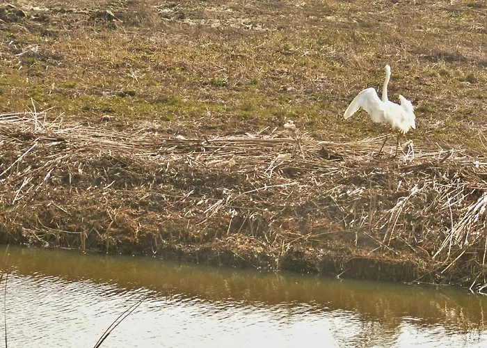 Pod Trzynastka דירה